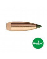 SIERRA Palle BlitzKing 243" 70gr SP #1507 (100pz)