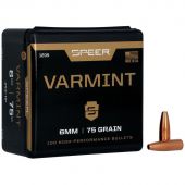 SPEER Palle Varmint Hallow Point 243" 75gr HP #1205 (100pz)
